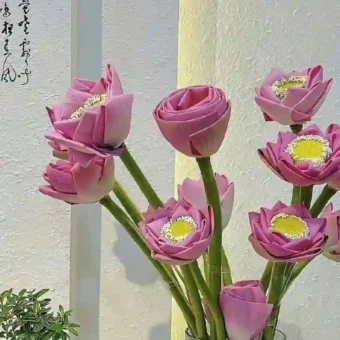 壁纸-𝐖𝐚𝐥𝐥𝐩𝐚𝐩𝐞𝐫-iOS18 深景壁纸