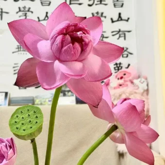 背景图 | 票圈背景图