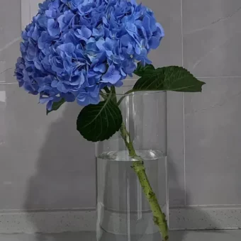 背景图 | 票圈背景图