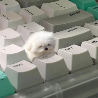 头像丨耐看的小众头像