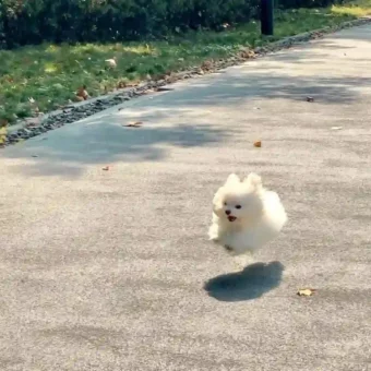 头像丨耐看的小众头像