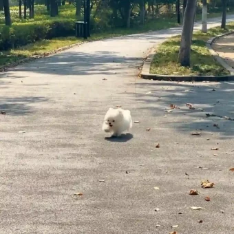 头像丨耐看的小众头像