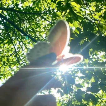 壁纸 | 快来换一波壁纸吧