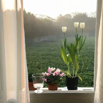 背景图 | 超好看的头像背景套图搭配