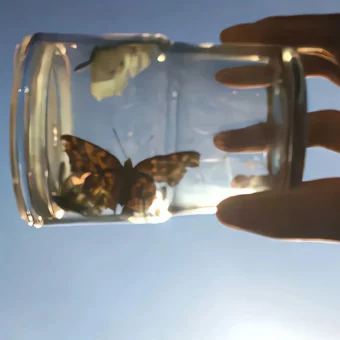 背景图 | 超好看的头像背景套图搭配