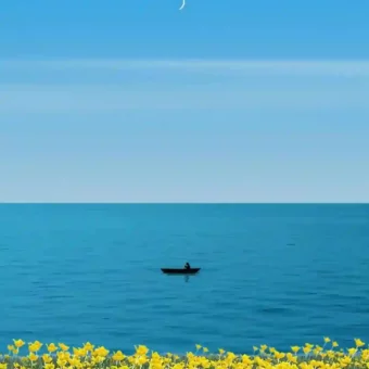 壁纸 | 氛围感插画壁纸