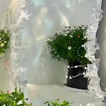 壁纸 | 优质壁纸