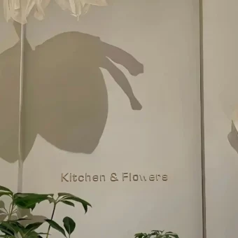 壁纸 | 优质壁纸