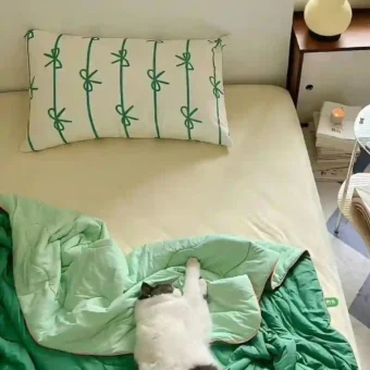 壁纸 | 手机壁纸