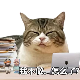 头像 | 适合长期不换的微信头像
