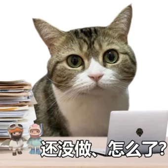 头像 | 适合长期不换的微信头像