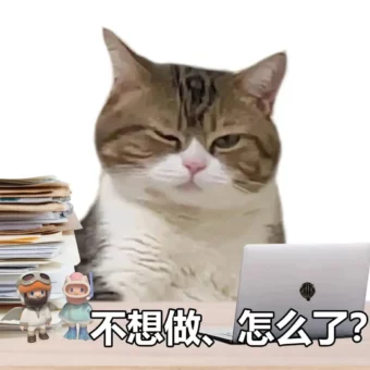 头像 | 适合长期不换的微信头像