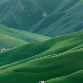 背景图 | 𝗪𝗲𝗖𝗵𝗮𝘁聊天背景图来啦