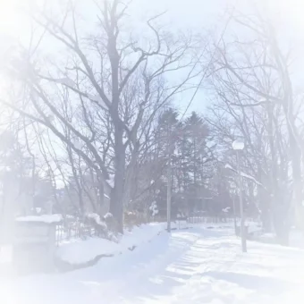 背景图 | 𝗪𝗲𝗖𝗵𝗮𝘁聊天背景图来啦