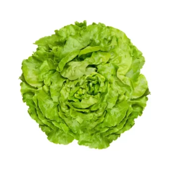 头像 | 50多款适合11月用的头像