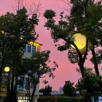 壁纸 | 不烂大街的高级壁纸