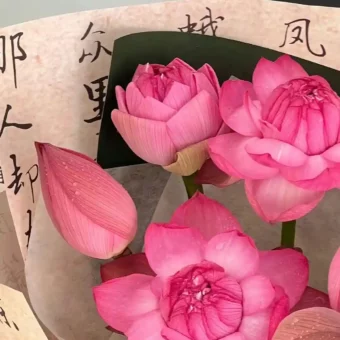 背景图 | 简约聊天壁纸背景图