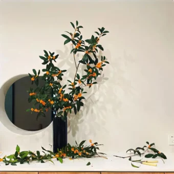 背景图 | 朋友圈背景图
