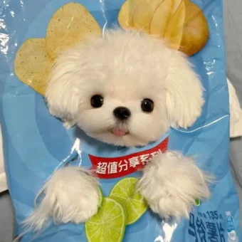 头像｜一期可爱抽象头像