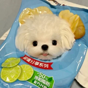 头像｜一期可爱抽象头像