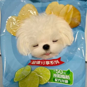头像｜一期可爱抽象头像