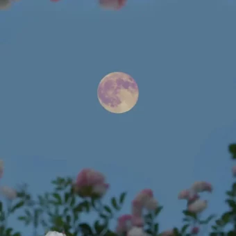 壁纸 | iOS锁屏+主屏