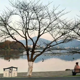 背景图 | 朋友圈背景图分享