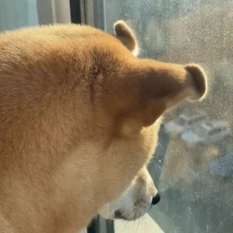 头像｜高能转运磁场好运头像 ​​​