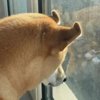 头像｜高能转运磁场好运头像 ​​​