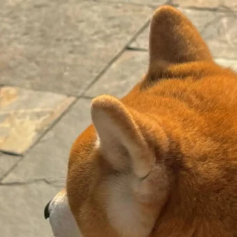 头像｜高能转运磁场好运头像 ​​​