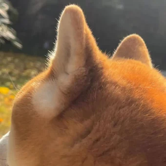 头像｜高能转运磁场好运头像 ​​​