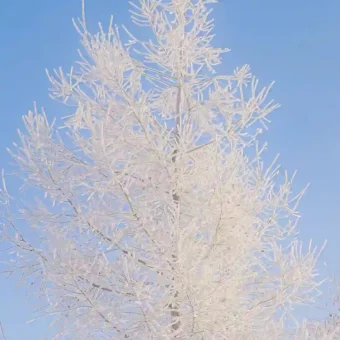 壁纸 | 近期爱用壁纸