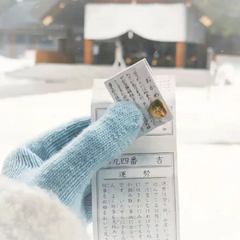 壁纸 | 可以成为你的新壁纸嘛