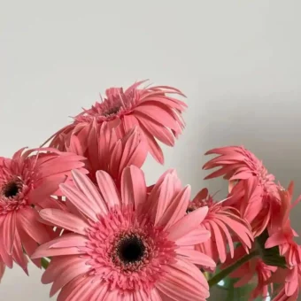 壁纸 | 超清4k全屏手机壁纸