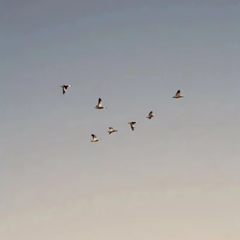 头像 | 𝗪𝗲𝗰𝗵𝗮𝘁头像背景图搭配