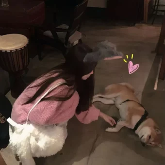 头像 | 值得长期不换的头像