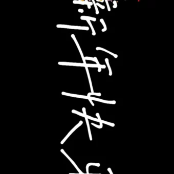 壁纸 | 2025跨年投屏手机壁纸
