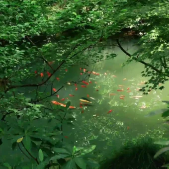 背景图 | 绿色护眼背景图