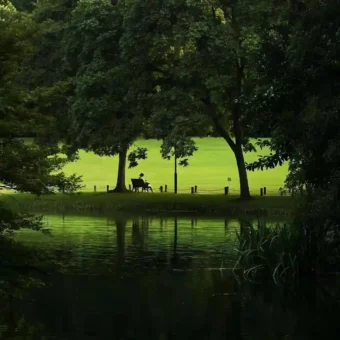 背景图 | 绿色护眼背景图