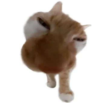 头像｜𝙒𝙚𝘾𝙝𝙖𝙩永久不换的头像 ​​​