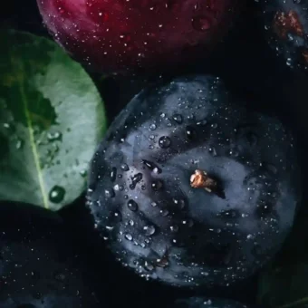 壁纸 | 手机高清唯美壁纸
