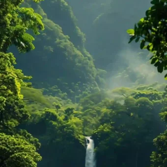 壁纸 | 手机高清唯美壁纸