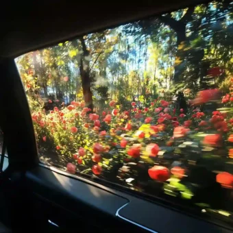 背景图 |  𝑾𝒆𝑪𝒉𝒂𝒕背景图