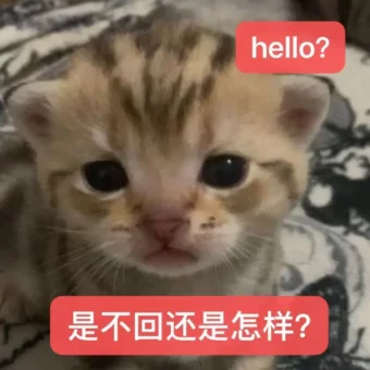 表情包丨猫猫表情包大合集