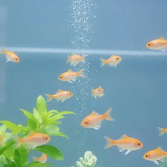 壁纸 ​​​​​​​​​​​​​| 𝐖𝐚𝐥𝐥𝐩𝐚𝐩𝐞𝐫全屏壁纸