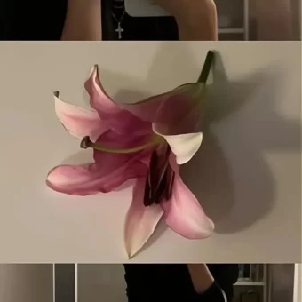 壁纸 ​​​​​​​​​​​​​| 𝐖𝐚𝐥𝐥𝐩𝐚𝐩𝐞𝐫全屏壁纸