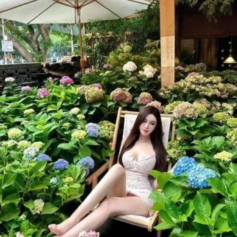 写真美图 | 永远温柔，与世无仇