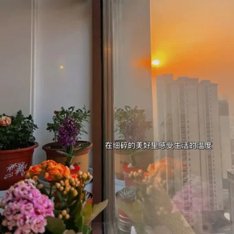 背景图 | 朋友圈背景图