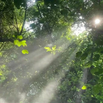 背景图 | 朋友圈背景图