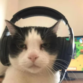情头｜电竞小猫头像